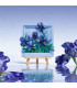 Lilac Irises - Madnesstoys