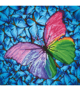 Flutter By Pink - Madnesstoys