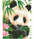 Panda Prince - Madnesstoys