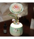 Minty Camellia Lamp - Madnesstoys