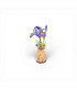 Purple Iris - Madnesstoys