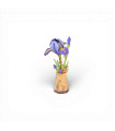 Purple Iris