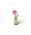 Pink Dahlia