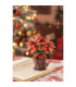 Poinsettia - Rokr - Madnesstoys