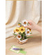 Narcissus - Rokr - Madnesstoys