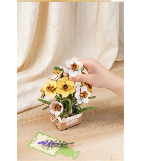 Narcissus - Rokr - Madnesstoys