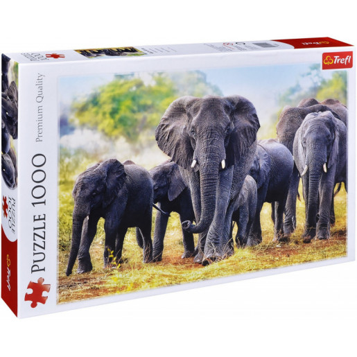 AFRICAN ELEPHANTS