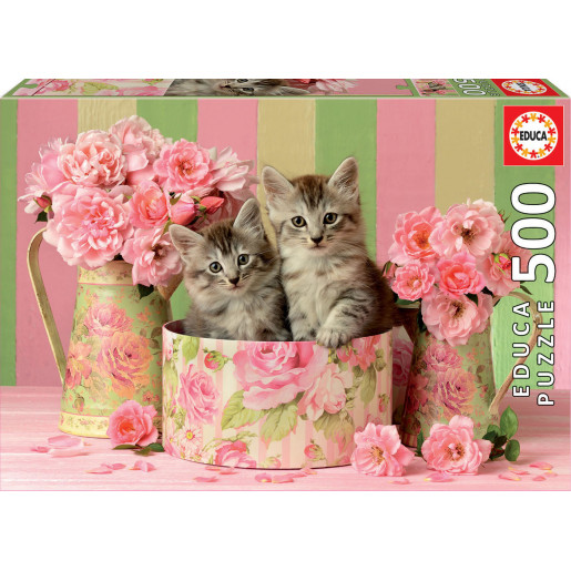 GATITOS CON ROSAS