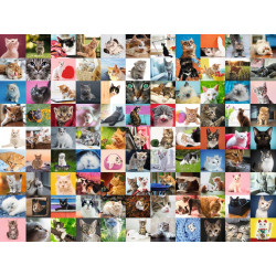 99 GATOS