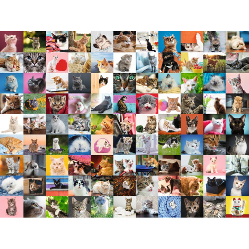 99 GATOS