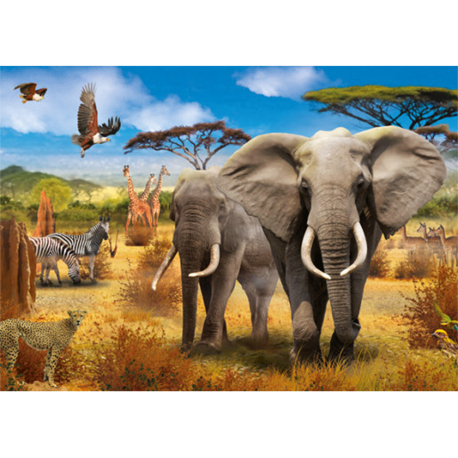 AFRICAN SAVANNAH