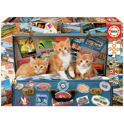 GATITOS VIAJEROS