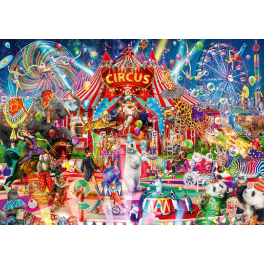 A NIGHT AT THE CIRCUS