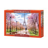 1000 - ROMANTIC WALK IN PARIS