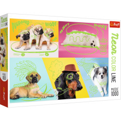 DOGS, NEON COLOR LINE