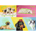 DOGS, NEON COLOR LINE