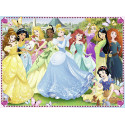 PRINCESAS DISNEY