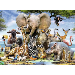 AMIGOS AFRICANOS