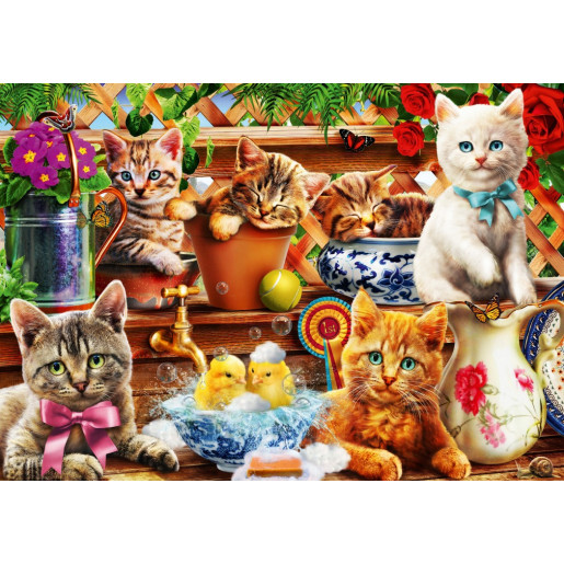KITTENS IN THE POTTING SHED