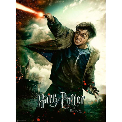 HARRY POTTER