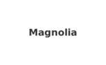 Magnolia